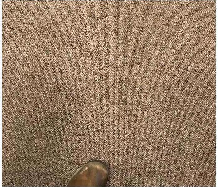 Clean carpets in a commercial building.