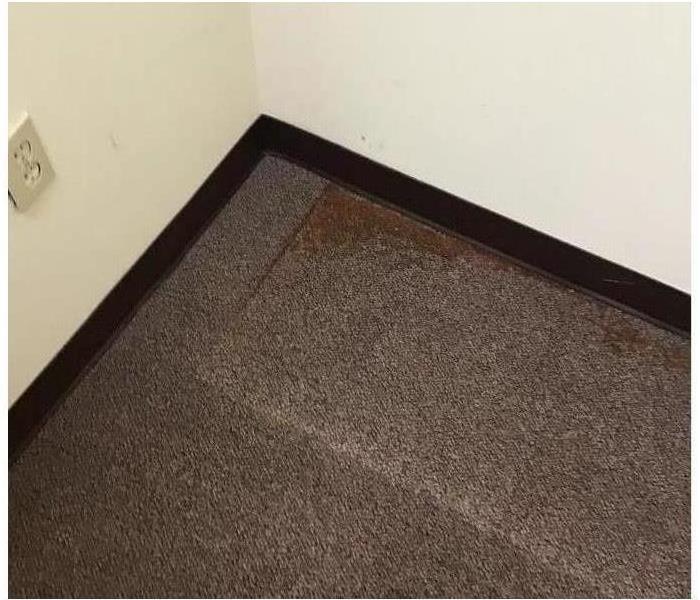 Dirty carpet in commercial building