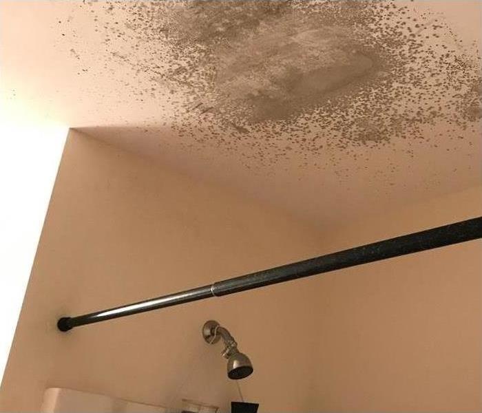 Image of black mold growing on bathroom ceiling