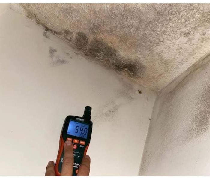 Mold Growth on Ceiling