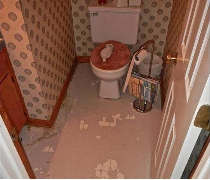 Sewage Backup Destroys Bathroom