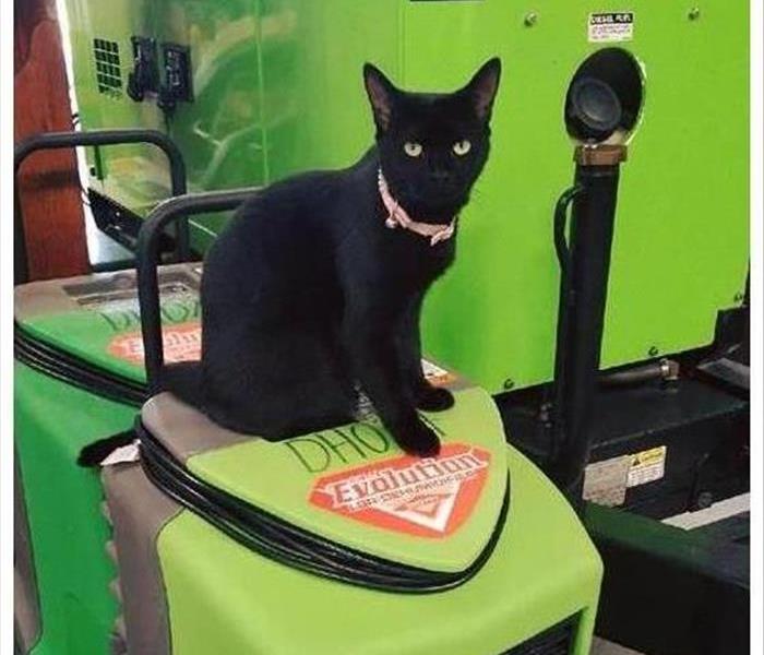 Black cat sitting on a dehumidifier.